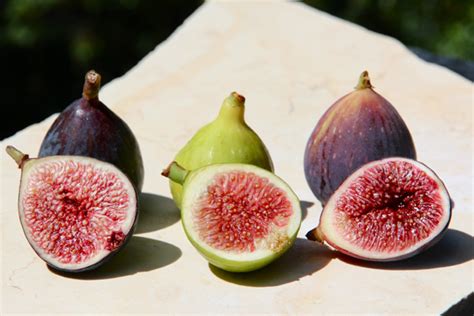 black jack fig vs brown turkey|The Scoop on 30 Fig Varieties .